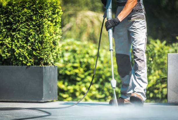 Best House Exterior Washing  in Rhinelander, WI